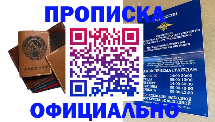 временная прописка в Дальнегорске